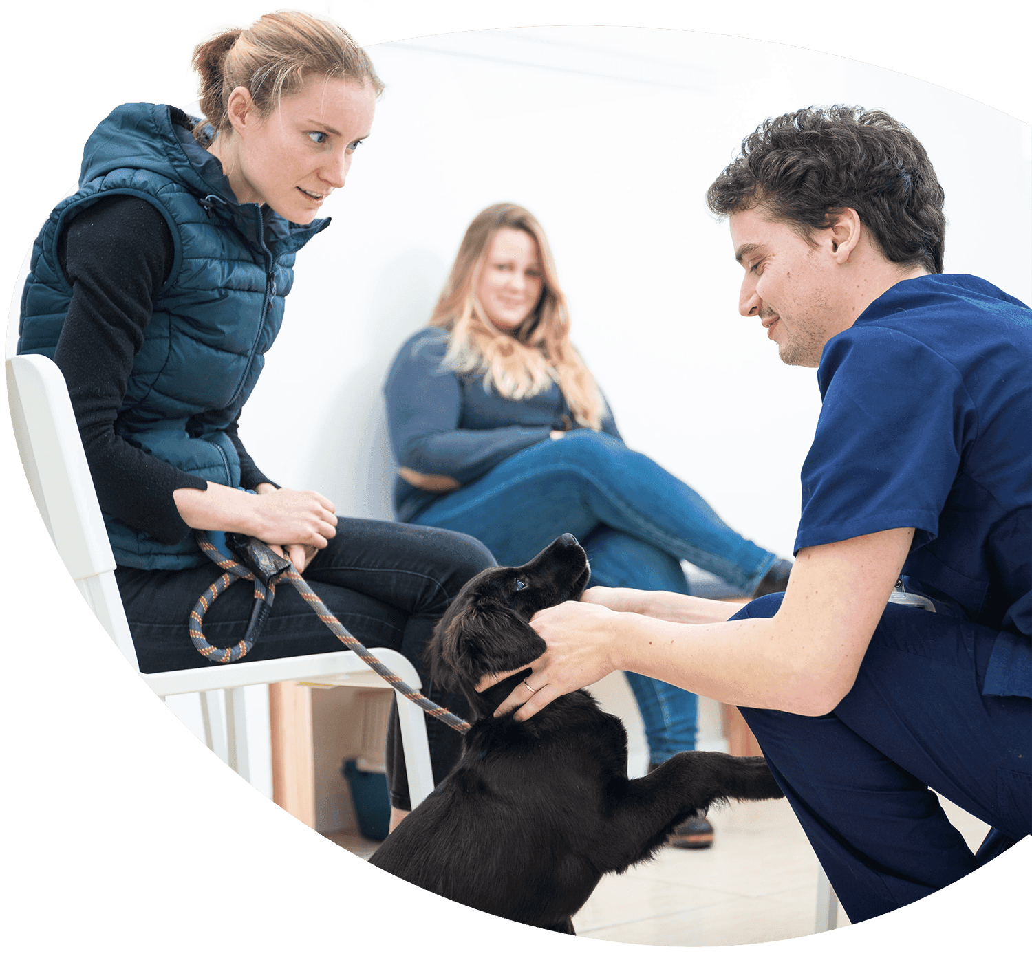 Visite d'un patient chez le vétérinaire
