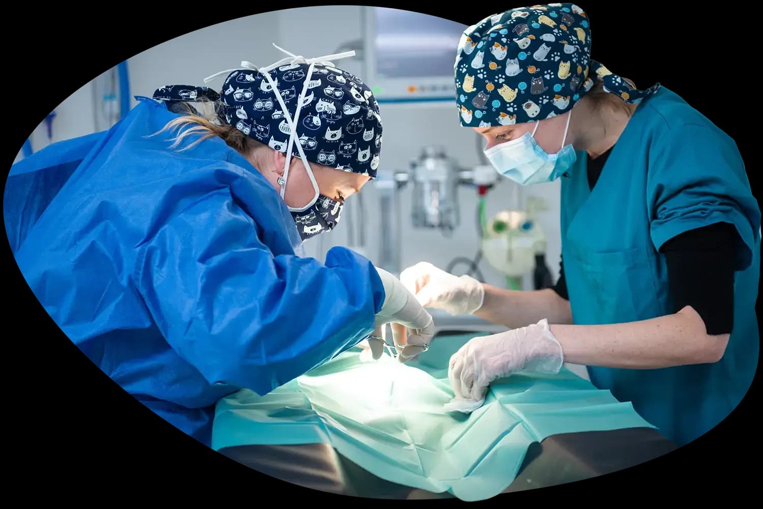 surgeon