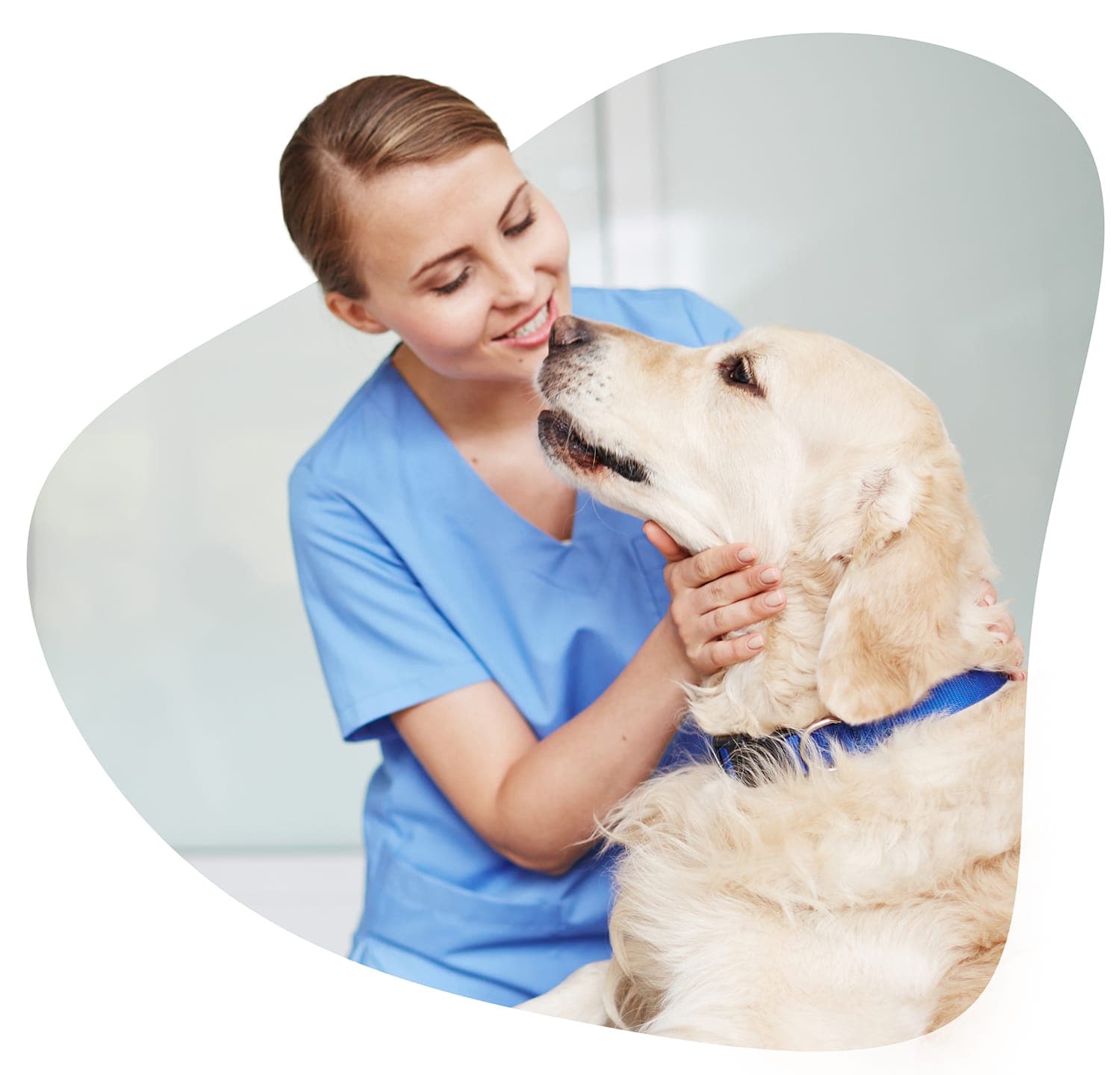 Vétérinaire prend soin d'un chien
