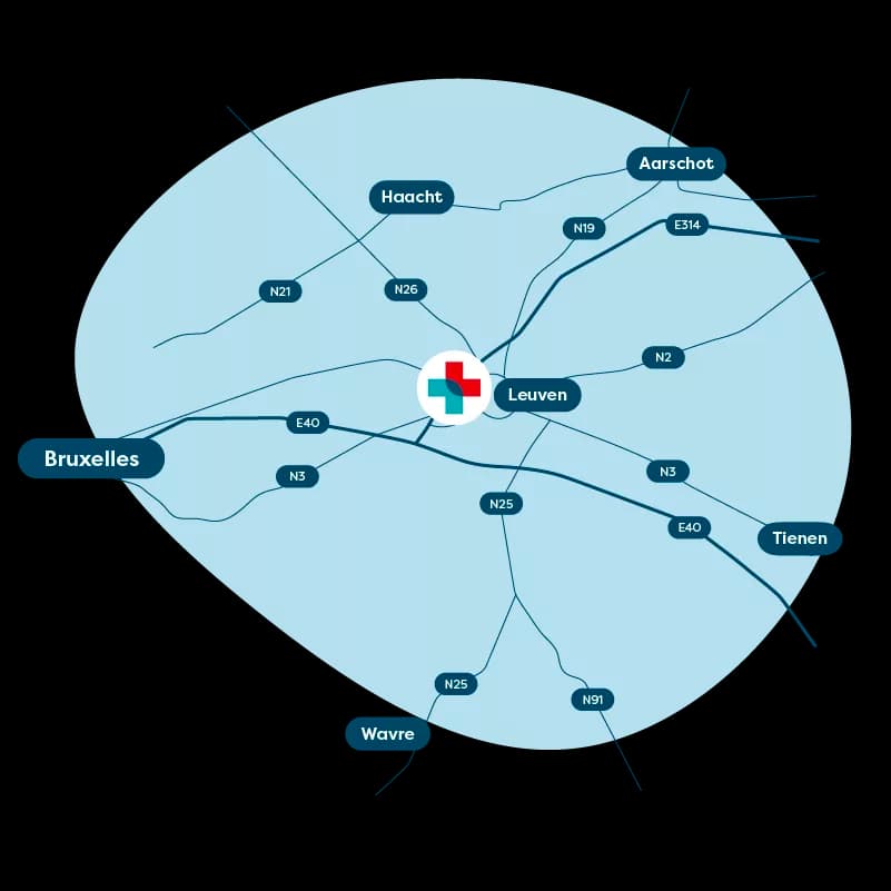 Leuven web 2