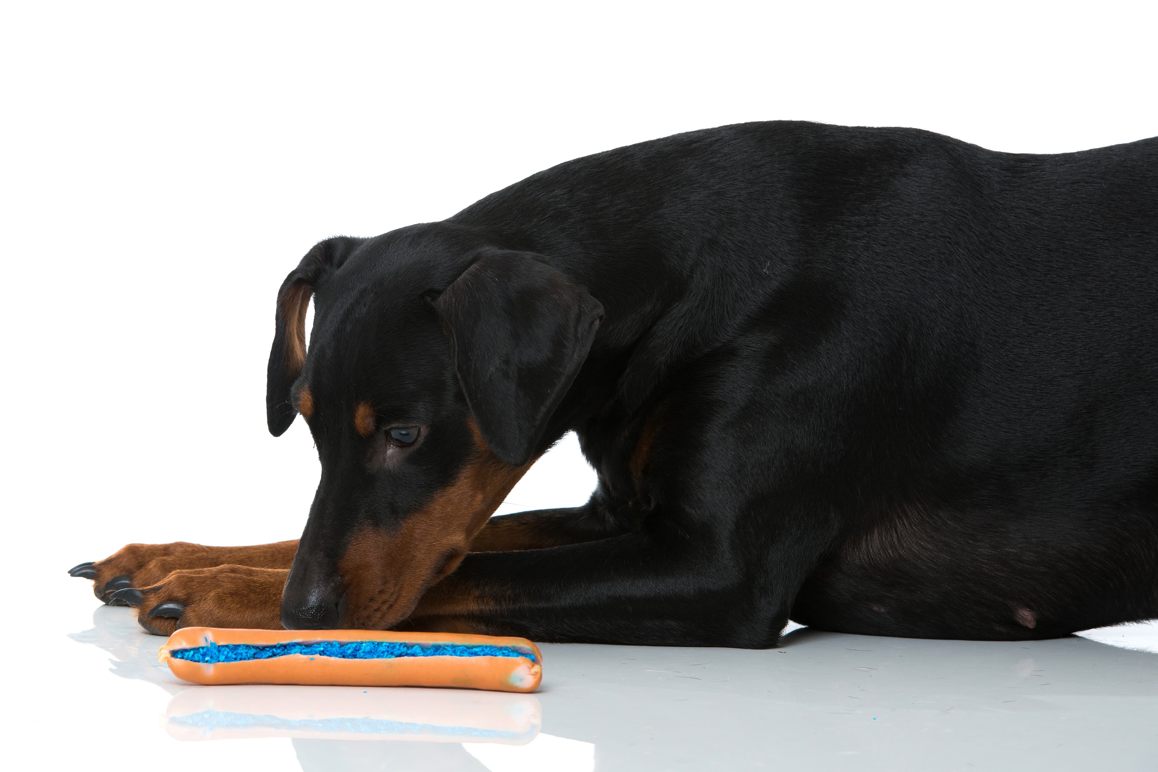 Veterinary emergency