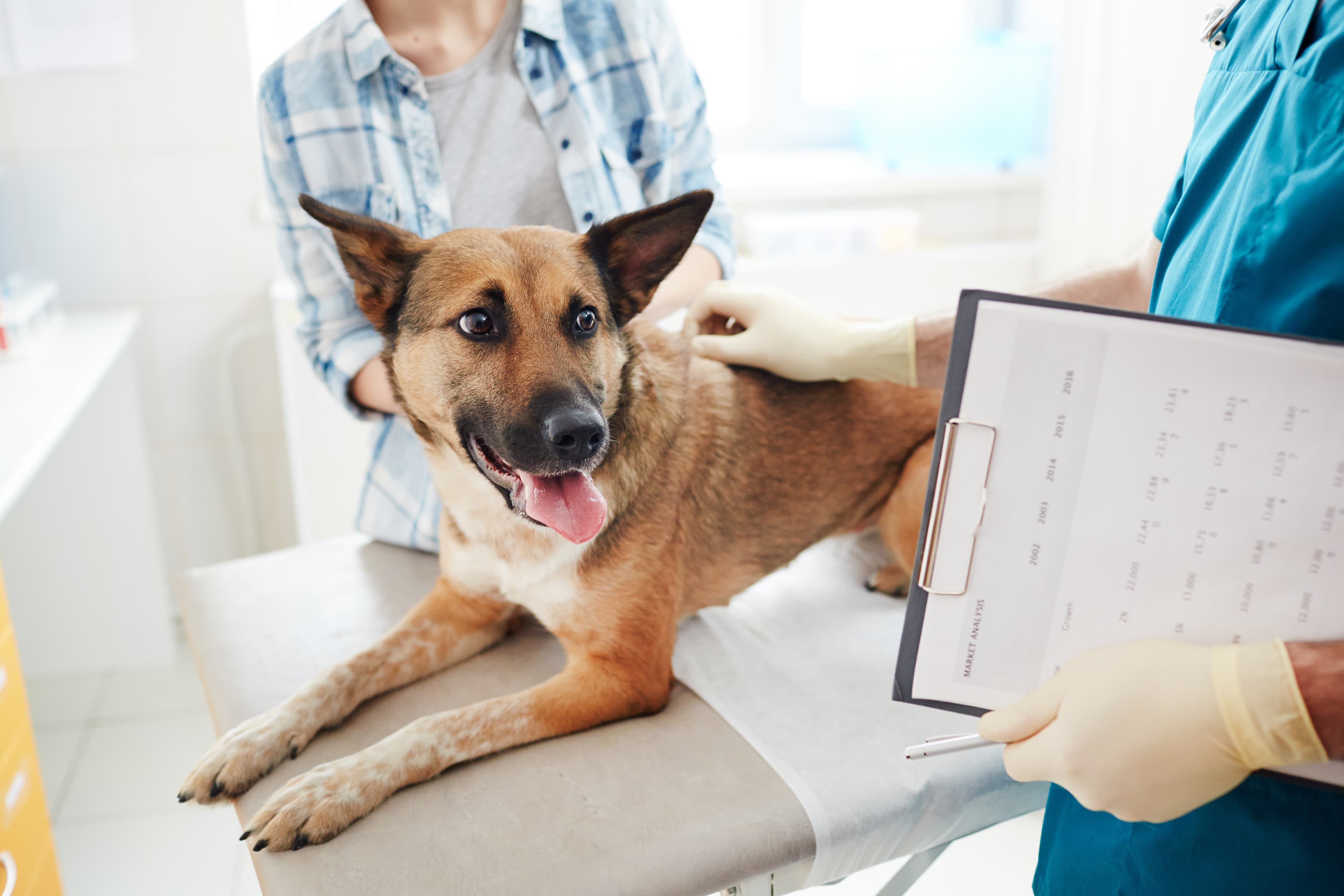 Veterinary emergency
