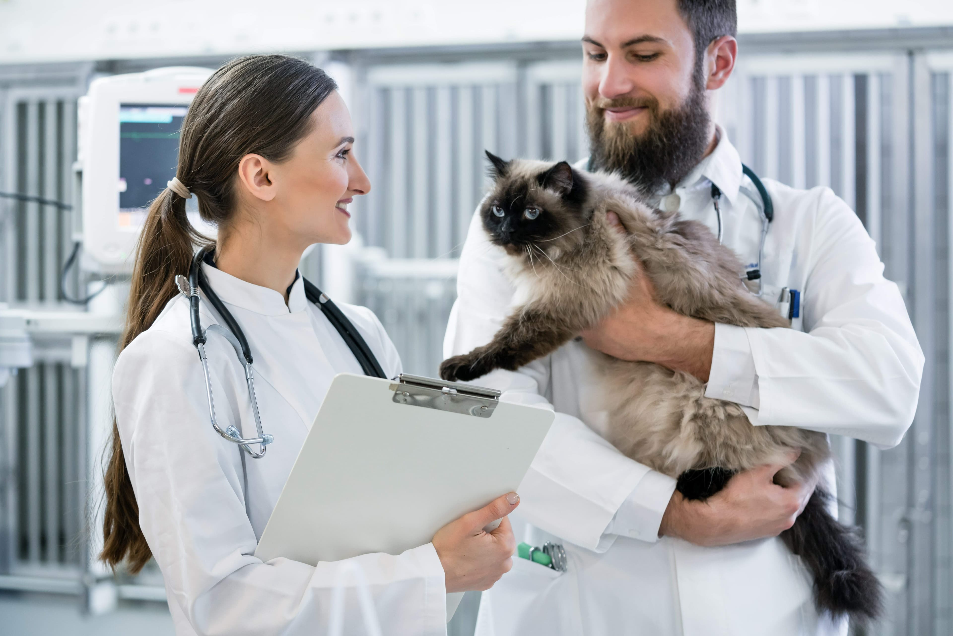 Veterinaire de garde dimanche